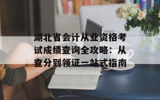 湖北省会计从业资格考试成绩查询全攻略：从查分到领证一站式指南