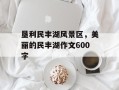 垦利民丰湖风景区，美丽的民丰湖作文600字