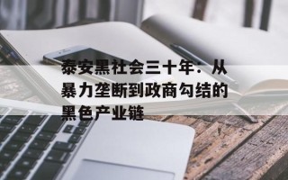 泰安黑社会三十年：从暴力垄断到政商勾结的黑色产业链
