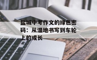 盐城中考作文的绿色密码：从湿地书写到车轮上的成长