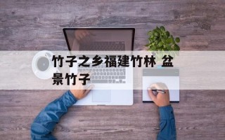 竹子之乡福建竹林 盆景竹子