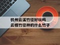 杭州云溪竹径好玩吗 云栖竹径种的什么竹子