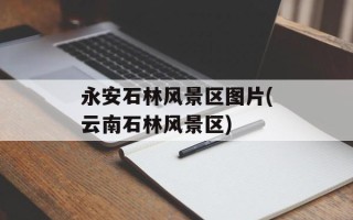 永安石林风景区图片(云南石林风景区)