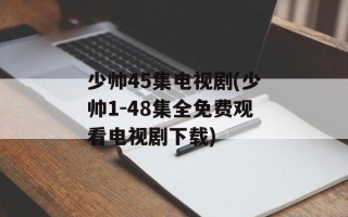 少帅45集电视剧(少帅1-48集全免费观看电视剧下载)