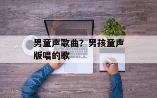 男童声歌曲？男孩童声版唱的歌