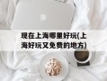 现在上海哪里好玩(上海好玩又免费的地方)