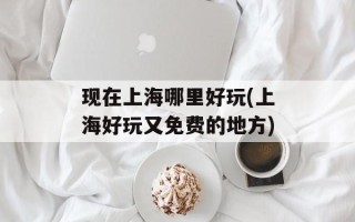 现在上海哪里好玩(上海好玩又免费的地方)