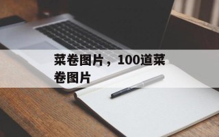 菜卷图片，100道菜卷图片
