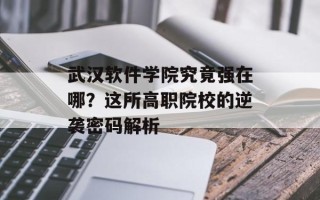 武汉软件学院究竟强在哪？这所高职院校的逆袭密码解析