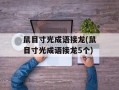 鼠目寸光成语接龙(鼠目寸光成语接龙5个)