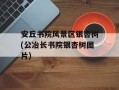 安丘书院风景区银杏树(公冶长书院银杏树图片)