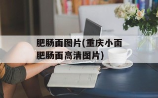 肥肠面图片(重庆小面肥肠面高清图片)