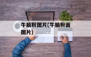 牛腩粉图片(牛腩粉面图片)