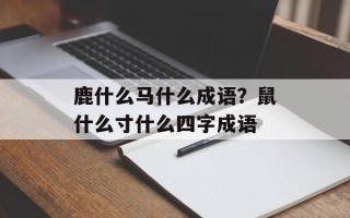 鹿什么马什么成语？鼠什么寸什么四字成语
