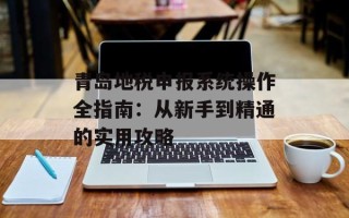 青岛地税申报系统操作全指南：从新手到精通的实用攻略