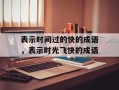 表示时间过的快的成语，表示时光飞快的成语