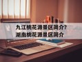 九江桃花源景区简介？湖南桃花源景区简介