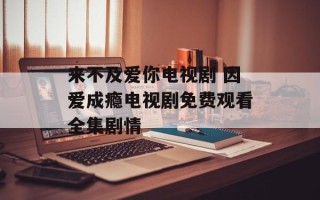 来不及爱你电视剧 因爱成瘾电视剧免费观看全集剧情