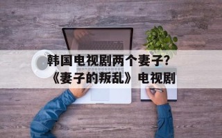 韩国电视剧两个妻子？《妻子的叛乱》电视剧