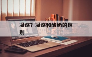 凝酪？凝酪和酸奶的区别