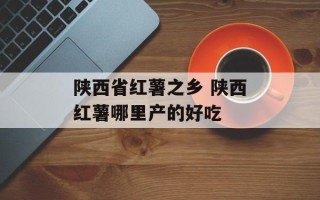 陕西省红薯之乡 陕西红薯哪里产的好吃