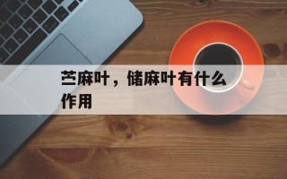 苎麻叶，储麻叶有什么作用