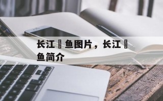 长江鮰鱼图片，长江鮰鱼简介