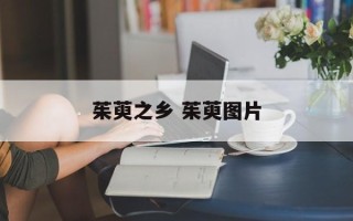 茱萸之乡 茱萸图片
