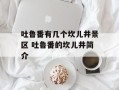 吐鲁番有几个坎儿井景区 吐鲁番的坎儿井简介