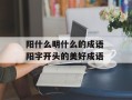 阳什么明什么的成语 阳字开头的美好成语