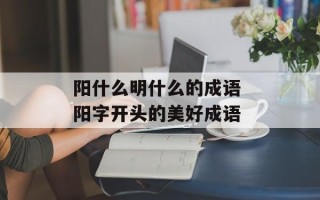 阳什么明什么的成语 阳字开头的美好成语