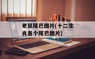 老鼠尾巴图片(十二生肖各个尾巴图片)