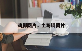 鸡脚图片，土鸡脚图片