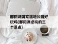 鄱阳湖国家湿地公园好玩吗(鄱阳湖必玩的三个景点)