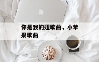 你是我的妞歌曲，小苹果歌曲