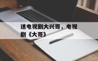 迷电视剧大兴哥，电视剧《大哥》