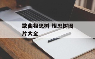 歌曲相思树 相思树图片大全