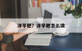 洋芋耙？洋芋耙怎么读