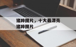 猪蹄图片，十大最漂亮猪蹄图片