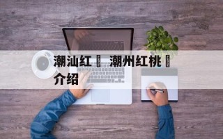 潮汕红粿 潮州红桃粿介绍