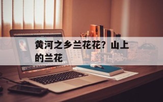黄河之乡兰花花？山上的兰花