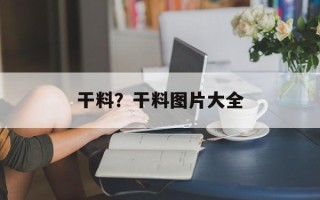 干料？干料图片大全
