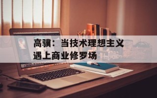 高骥：当技术理想主义遇上商业修罗场