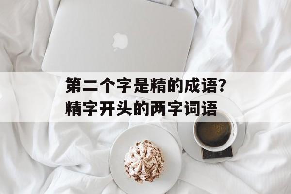 第二个字是精的成语？精字开头的两字词语-第1张图片-