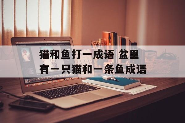 猫和鱼打一成语 盆里有一只猫和一条鱼成语-第1张图片-