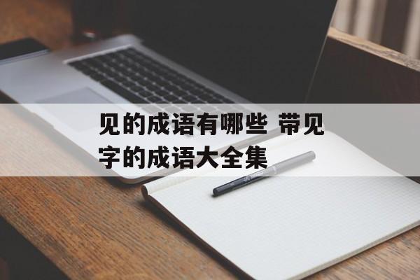 见的成语有哪些 带见字的成语大全集-第1张图片-