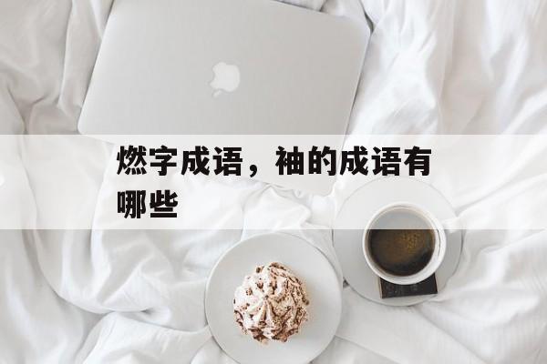 燃字成语，袖的成语有哪些-第1张图片-