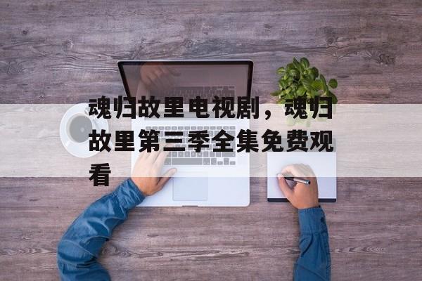 魂归故里电视剧，魂归故里第三季全集免费观看-第1张图片-