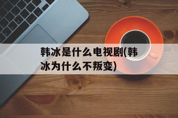 韩冰是什么电视剧(韩冰为什么不叛变)-第1张图片-