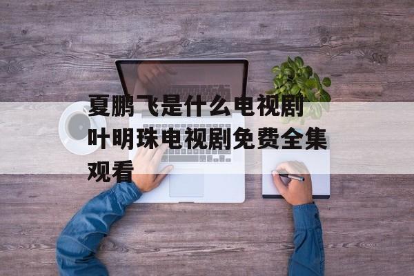 夏鹏飞是什么电视剧 叶明珠电视剧免费全集观看-第1张图片-